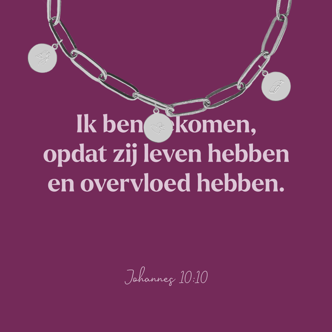 Armband rvs zilver - Levenshuis - Johannes 10:10 - Afbeelding 2