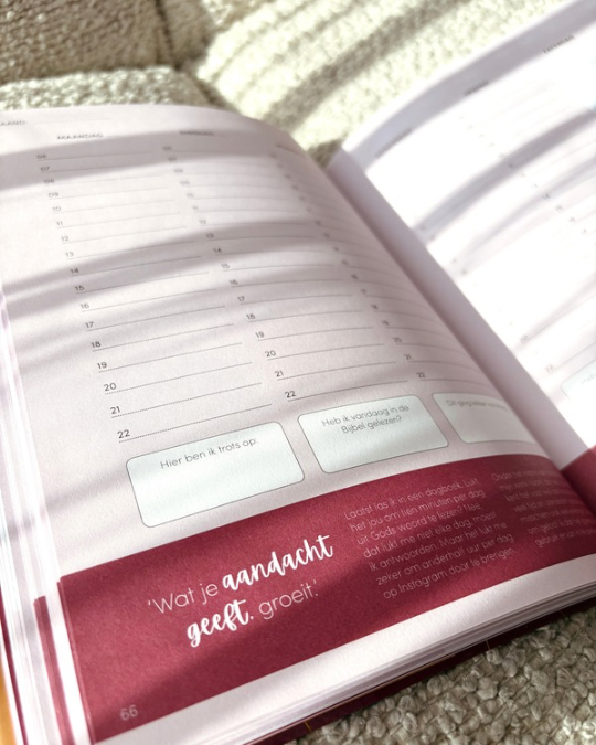 Voluit Leven Planner - Afbeelding 5